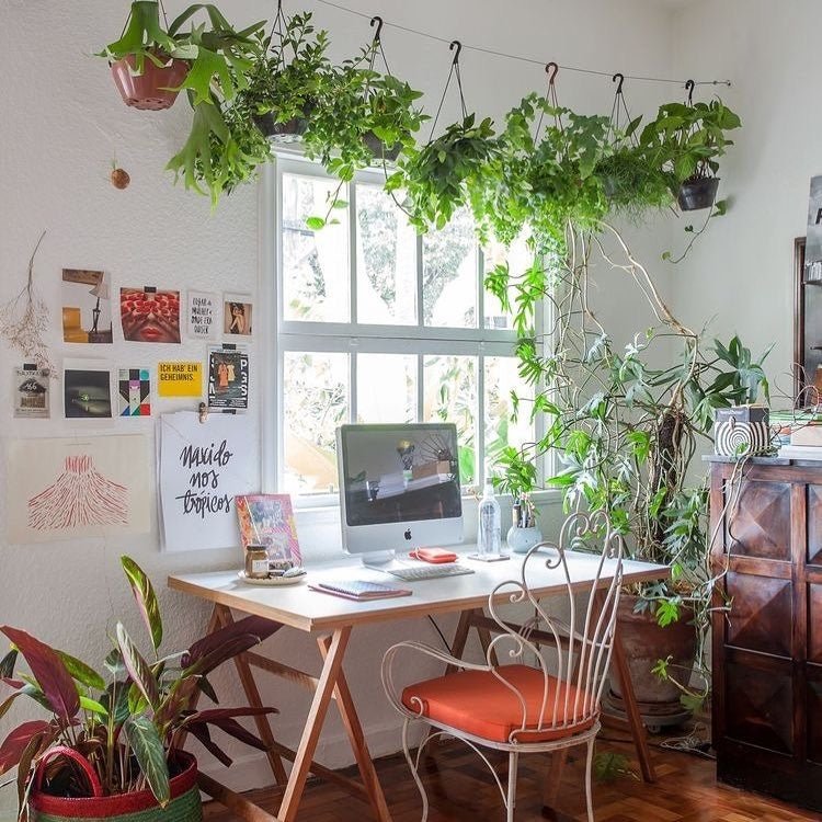 15 Best Office Ideas with Plants for 2026