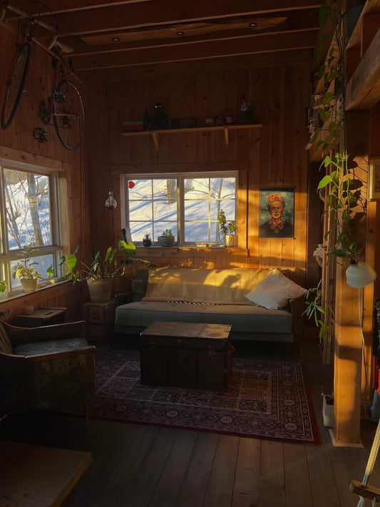 15 Fresh Cabin Living Room Ideas 2026