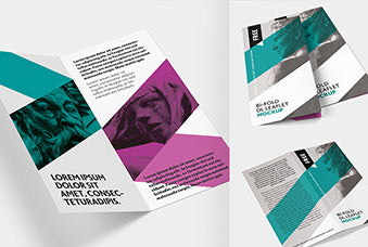 Free Bi-Fold Dl Leaflet Mockup