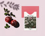 Free Card With Envelope And Plums Psd