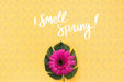 Free Flat Lay Copyspace Mockup For Spring Psd
