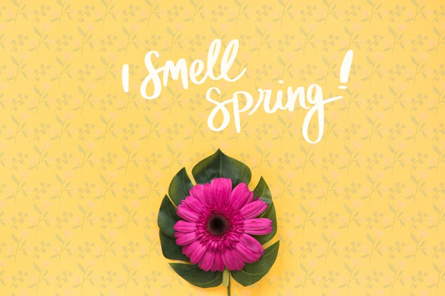 Free Flat Lay Copyspace Mockup For Spring Psd