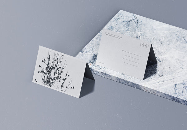 Free Folded Postcard Mockup