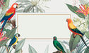 Free Macaw Tropical Mockup Illustration Psd