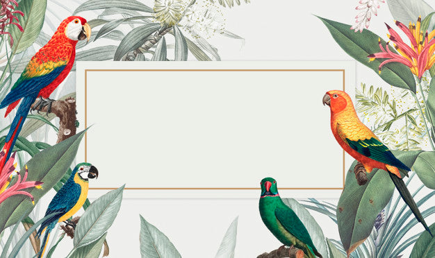 Free Macaw Tropical Mockup Illustration Psd