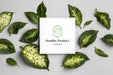 Free Natural Product Mock-Up With Leaves Psd