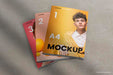 Free Three Magazines Mockup Psd