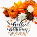 Free Top View Arrangement With Flowers On White Background Psd
