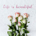 Free Top View Beautiful Set Of Flowers Concept Psd