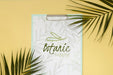 Free Top View Botanic Clipboard With Mock-Up Psd