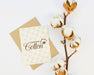 Free Top View Cotton Branch With Mock-Up Psd