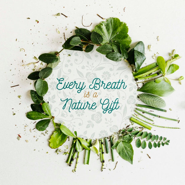 Free Top View Elegant Frame Made Out Of Leaves Psd