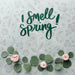 Free Top View Of Leaves And Spring Roses Psd