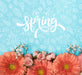 Free Top View Of Spring Roses And Gerbera Psd