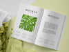 Free Top View Open Magazine And Plant Assortment Psd