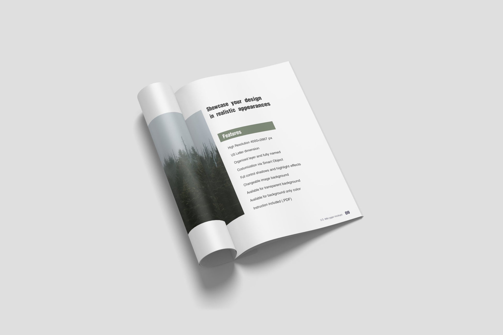 Free Us Letter Brochure Mockup